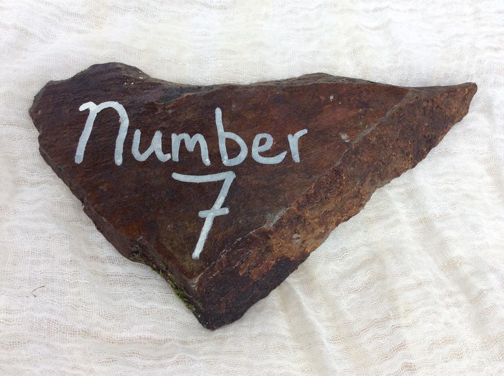 Number 7 * Gouarec